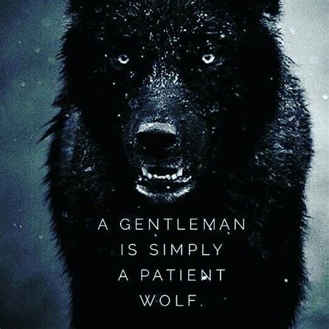 He is a very calculating and patient wolf that is, and well cultured too often times. A gentleman is simply a patient wolf. | Quotes etc. | Pinterest | Aviation