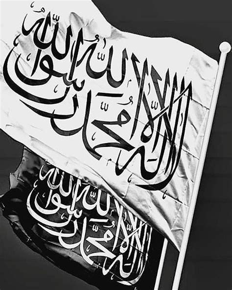 Arabian horse champions free transparent image hd. Wallpaper Kaligrafi 3d Keren | Kaligrafi Indah