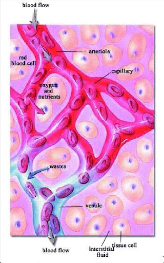 We did not find results for: What is biology meaning in Hindi ? हिंदी में जीव विज्ञान ...