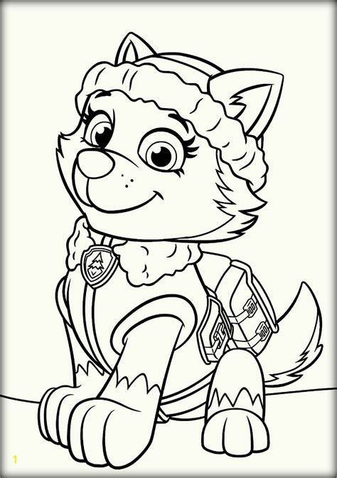 Check spelling or type a new query. Paw Patrol Skye and Everest Coloring Pages | divyajanani.org