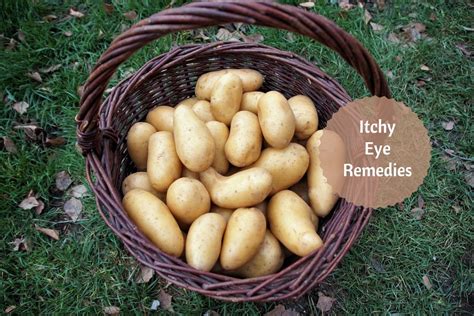 Eye allergies can come in different forms and can be seasonal or perennial. Itchy Eye Relief In Ayurveda: 7 Helpful Ayurvedic Home ...