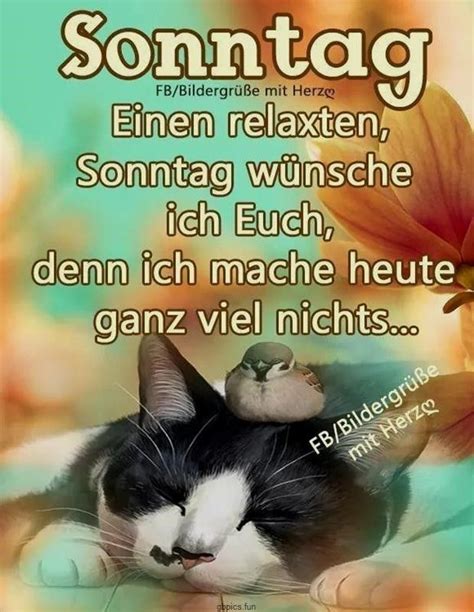 Diese alte weisheit, die schon die großeltern kannten, hat auch im internet seine berechtigung. sonntag bilder für whatsapp | Lustige guten morgen bilder ...