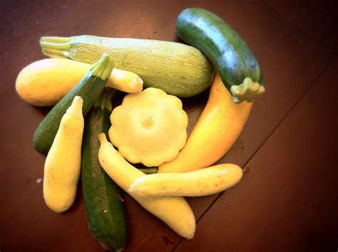 Gourds are in the same family as squashes. riddlelove: Summer Squash 12 Ways ~ Recipes for the Harvest