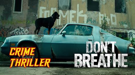 Cute burglar rocky (played by the badass jane levy) finds more than cash in the blind man's basement; Rocky Escaped from ROTTWEILER - Don't Breathe (2016 ...