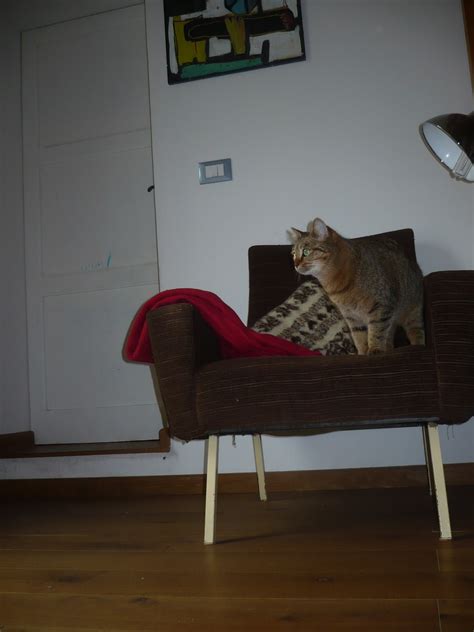 Anche con pochi soldi e con le giuste attenzioni, è infatti possibile arredare la terrazza senza trascurare i dettagli. ARREDARE CASA CON POCHI EURI