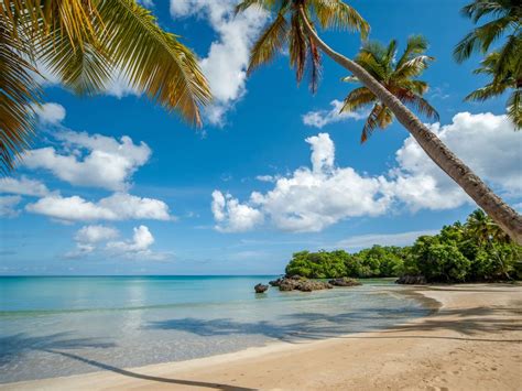 Con fotos y videos en full hd, podrás conocer todos los detalles de cada propiedad, para que no te lleves ninguna sorpresa en tus vacaciones. Los Cocos à Playa Bonita Las Terrenas, province de Samaná ...