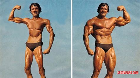 If usps mail forwarding is not working, talk with an employee at your local post office. Detraining: How Long Does It Take To Lose Muscle ...