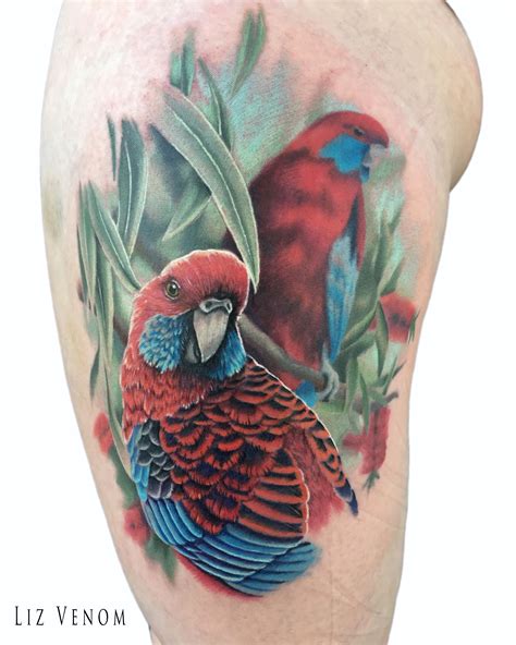 Simply message us to display your. Some crimson rosella parrots by Liz Venom . . . . . . ink ...