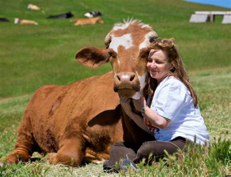Cows technically only have one stomach, but it has four distinct compartments made up of rumen, reticulum, omasum and abomasum. Ethical meat consumption... - Thenutritionhealer