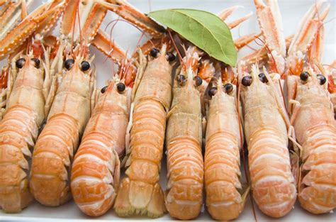 Un consiglio per cucinare gli scampi e portare in tavola un piatto dal gusto intenso e buonissimo è acquistarli ancora vivi, ma potete anche acquistarli surgelati. Pulire e tagliare gli scampi: come e quando farlo ...