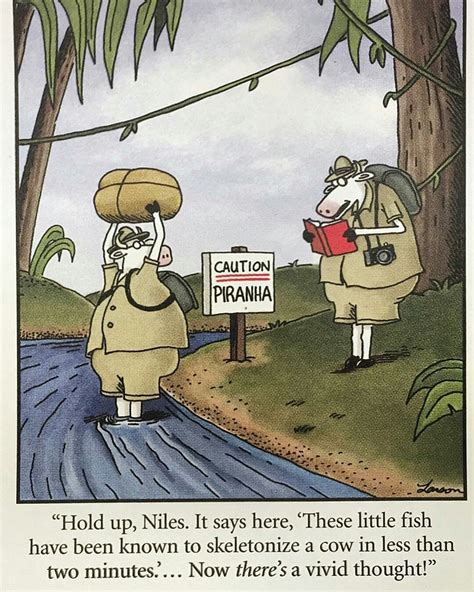 Besides the thousands of cartoons, gary larson writes quirky introductions for each of the 14 chapters. Pin by Lee Sydney on Farside Cartoons in 2020 | Far side ...
