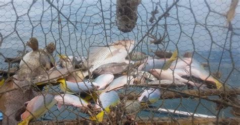 Jika biasanya memancing di kolam khusus, cobalah sesekali memancing di laut lepas. ANTARA TEMPAT-TEMPAT MEMANCING YANG MENARIK DI JOHOR - Aku ...