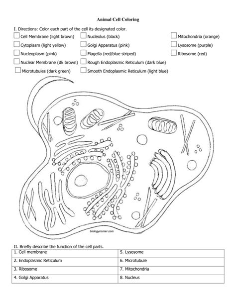 Cell membrane (light brown) nucleolus (black) mitochondria (orange) cytoplasm (light yellow) golgi apparatus (pink) lysosome (purple) 3. Cell magna - Coloring pages - Print coloring 2019