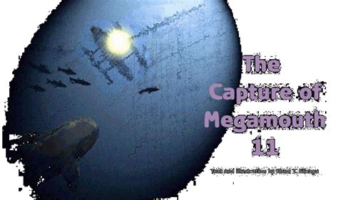 The plural of fish is usually fish, but there are times when you can use fishes instead. Details of the Capture of Megamouth Shark 11