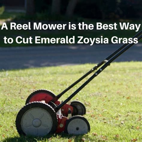 Even though zoysia survives and grows without that much effort, there are a few tips you should follow, if you want to have that. How to Cut Emerald Zoysia Grass - Houston Pearland Sugar Land Katy TX