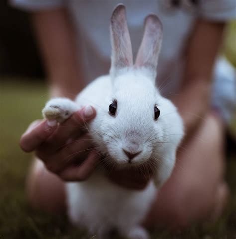 Our highly experienced and passionate team has made real progress around the globe for the countless animals suffering in cruel. Why we are Cruelty Free - the hard facts about testing on ...