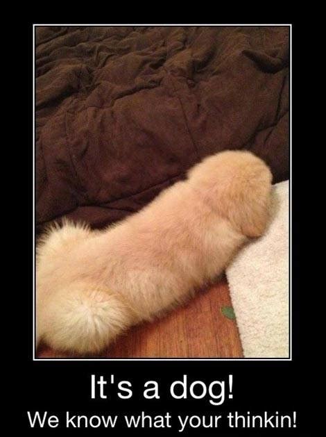 Just go to our funny pictures gallery and find something else to rant about. Showmeneel: Your Dirty Mind
