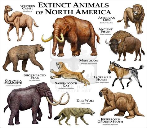 The name you give your animal for starters, the name should match the animal's attitude. Image result for ice age mammal prints | Animais extintos ...