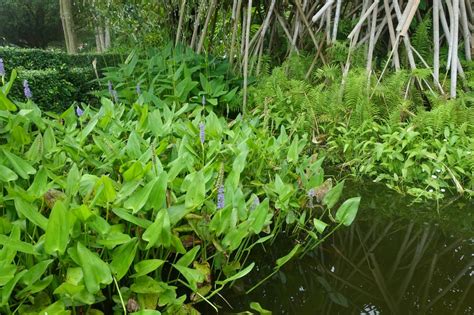 Neueste banken, kreditinstitute, bausparkassen lokaler unternehmen in schweiz. Wassergarten » Teiche in meiner Nähe