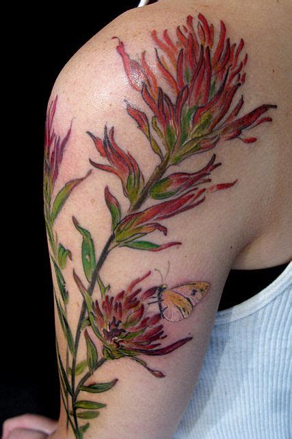 We did not find results for: Indian Paintbrush and little yellow moth | Paintbrush ...
