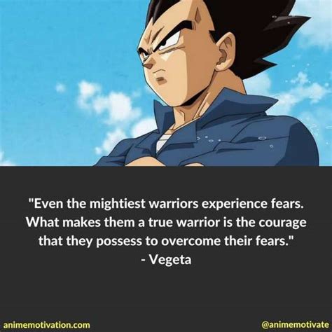 The dragon ball dub is not really all that great. 11 Of Vegeta's Most Inspirational Anime Quotes From DBZ