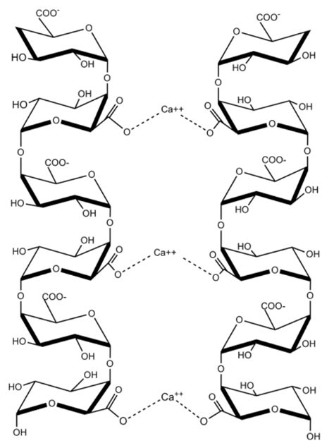 Cell walls and cell membranes differ in their structure, function, and other features. Plant Cell Wall Polymers: Function, Structure and ...