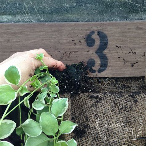 Do you need it to provide a windbreak to protect your garden plants? Add plants to fence planter - Jennifer Rizzo