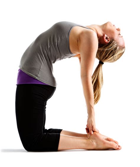 Contrary to popular belief, they're filled with fat, which. 5 Effective Chest Exercises And Their Benefits For Women ...