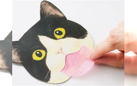 See full list on wikihow.com Pink Cat Tongue Oil Blotting Sheets Will Keep Your Face ...