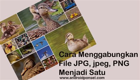 Walaupun anda menggunakan mac, windows, atau linux. 5 Cara Mudah Menggabungkan File JPG, jpeg, PNG Menjadi Satu