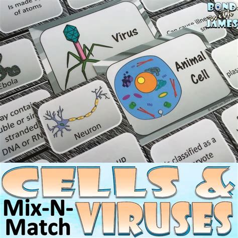 We did not find results for: Cells and Viruses: Do you want an interactive way for ...