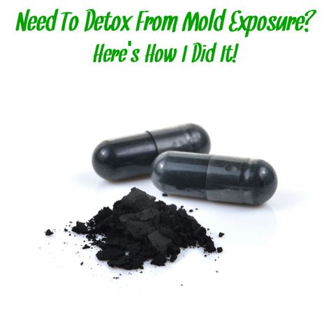 How to treat mold toxicity in the body. How To Detox Your Body From Mold (What I Did) | Mold ...