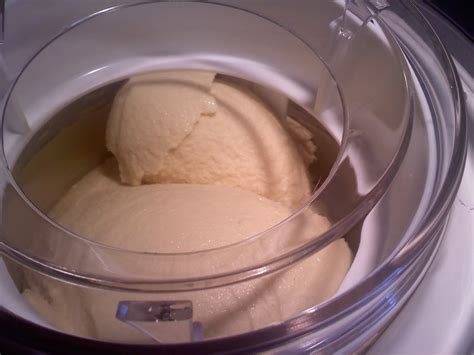 With the ice cream paddle fitted, whisk the mixture and pour into the ice cream maker bowl. Get Fit Katie's Low Carb Blog: Recipe: LCHF Coconut ...