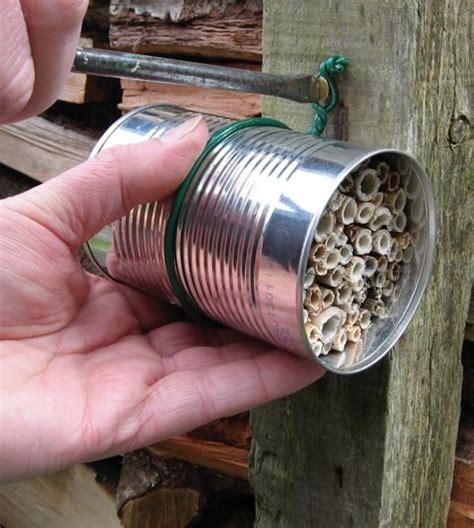 Introducing ponds to create new ecosystems. Bee positive - by John Walker | Mason bee house, Bee hotel ...