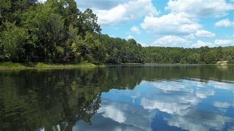 Check spelling or type a new query. Williams Family: Daingerfield State Park