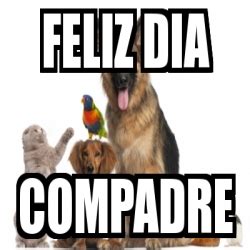 Memes de cuelgue memes para reir memes perrones chistes humor humor absurdo memes graciosos risas carcajadas chistosos. Meme Personalizado - feliz dia compadre - 10274206