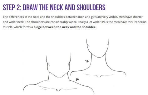 However, they play an incredibly important role in the body. Pin by Val on Draw human neck & shoulders | Shoulder ...