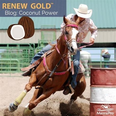 Maybe you would like to learn more about one of these? Coconut meal for horses? You bet! Check out our new blog post on Renew Gold and the power of ...