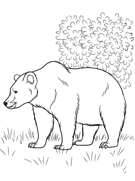 Download Free Forest Animals coloring pages. Download and print Forest Animals coloring pages
