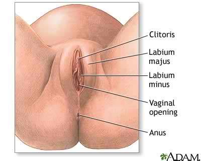 This is why women remove their female parts. Science lesson plans and strategies: How to teach female ...