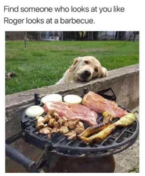 You might have come across some good jokes, but they might be old. dopl3r.com - Memes - Find someone who looks at you like ...