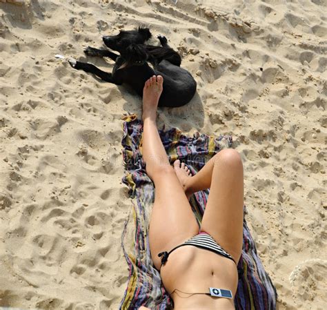 Oh what to do with the hot, to hottest, days of summer? Hot Summer Day At The Beach Stock Photo - Image of sandy ...