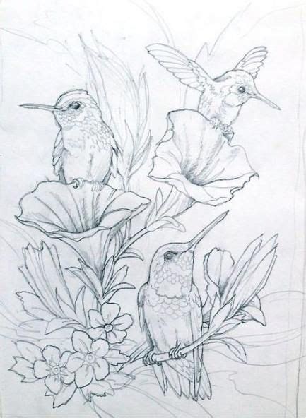 You can use our amazing online tool to color and edit the following hummingbird coloring pages for adults. Butterflies image by Liz Sylvester | Bird drawings, Bird ...