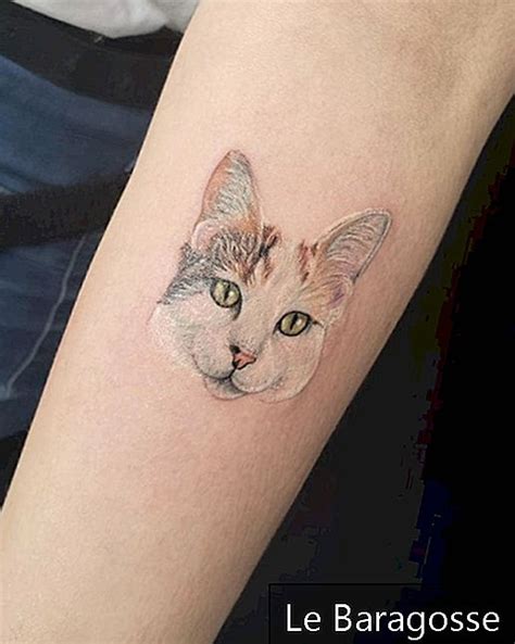 Rozdíl mezi tetování a tetování. Výzmam Tetování Kočky - Tetování kočky může být dobrým ...