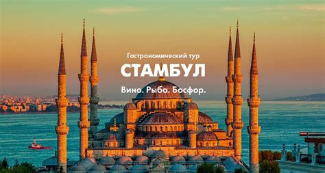 Гастрономический тур в Стамбул - винный тур по Стамбулу | Пища для ума