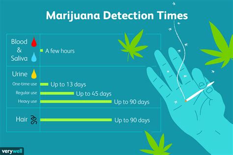 The doctor asked if the patient took much exercise. How Long Does Marijuana Stay in Your System?