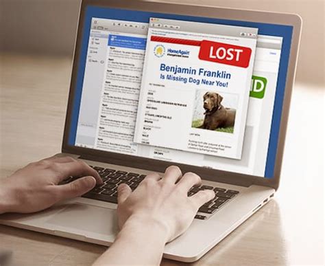 Over a month ago i renewed my dog's membership with home again. Pet Microchip for Dogs and Cats | HomeAgain Pet ID ...