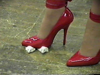 Feet crushing food barefoot asmr 1:41. شبآهنگ: بیست و سه دلیل برای دوستداران حیوانات که چین را ...