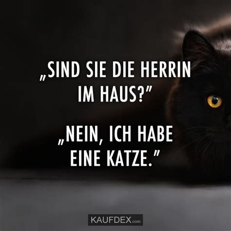 1,070 likes · 1 talking about this · 44 were here. Sind Sie die Herrin im Haus? | Kaufdex | Katzen, Sprüche ...