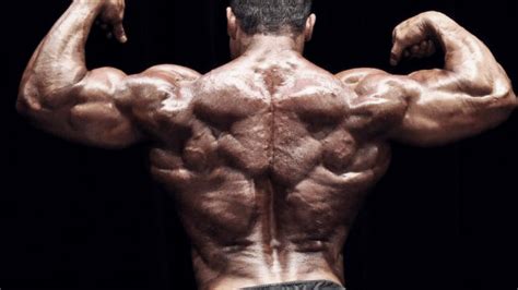 This also causes an imbalance if the lower back. Building a Big, Freaky Back | T Nation